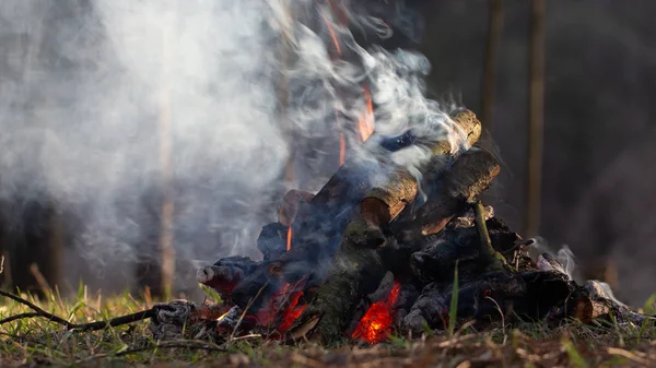 Bonfire dans la forêt en vacances. Risque d'incendie — Photo