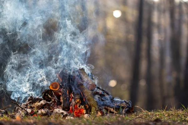 ไฟไหม้ในป่าในวันหยุด อันตรายจากไฟไหม้ — ภาพถ่ายสต็อก