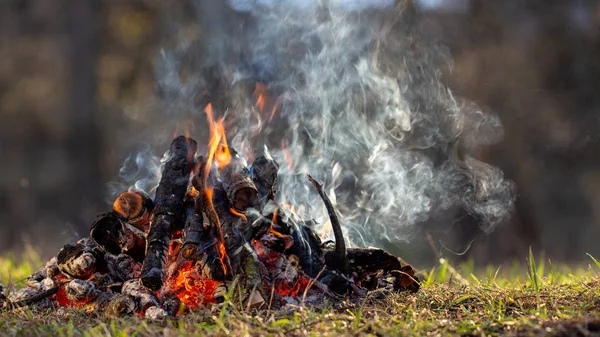 Bonfire dans la forêt en vacances. Risque d'incendie — Photo