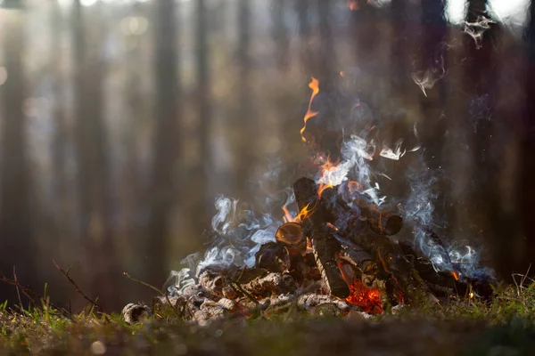 Bonfire dans la forêt en vacances. Risque d'incendie — Photo