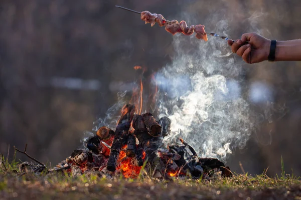 Świeże mięso szaszłek na szpikulca metalu w dłoni człowieka nad ongnym w lesie — Zdjęcie stockowe