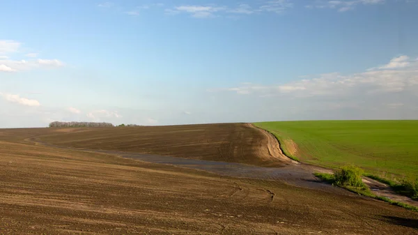 Champs agricoles après de fortes pluies, dépôts de tchernozem et divers débris sur le terrain . — Photo