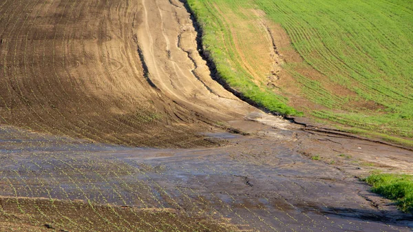 Campos agrarios después de fuertes lluvias, depósitos de chernozem y varios escombros en el campo . —  Fotos de Stock