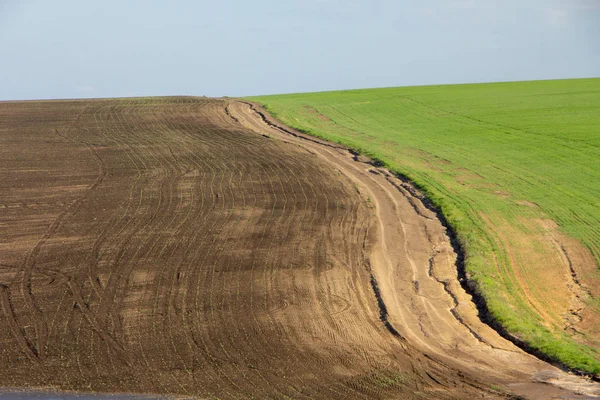 Landwirtschaftliche Felder nach starkem Regen, Ablagerungen von Tschernozem und verschiedenen Trümmern auf dem Feld. — Stockfoto