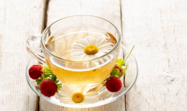 beyaz bir masada papatya çiçekleri ile bitkisel çay fincan