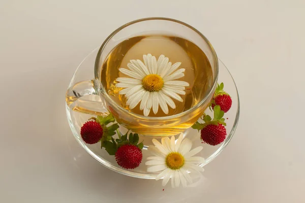 Beyaz bir masada papatya çiçekleri ile bitkisel çay fincan — Stok fotoğraf