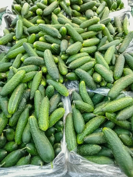 Texture of cucumbers in cardboard boxes on the storefront