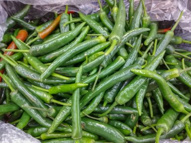 Bir vitrinde yeşil biber, doku. Arka plan