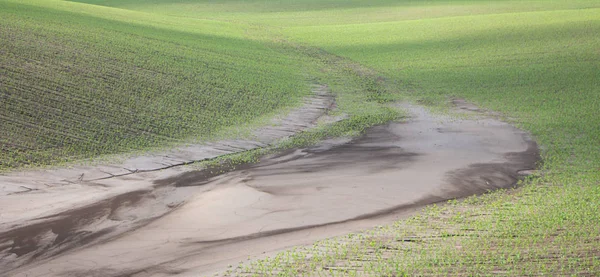 Schlammströme nach starkem Regen auf einem Maisfeld, das einen Teil der Anbaufläche der Risikolandwirtschaft zerstörte — Stockfoto