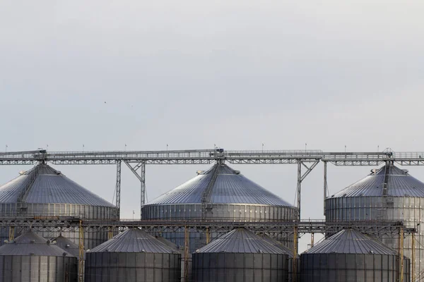 Asansör, mavi gökyüzünün arka planına karşı tahıl ambarı büyük konteyner — Stok fotoğraf