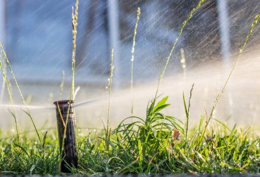Otomatik fıskiye sistemi yeşil çimlerin arka planında çimleri suluyor