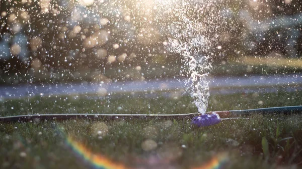 Automatische sprinkler systeem besproeiing van het gazon op een achtergrond van groen gras — Stockfoto