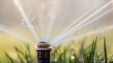 Otomatik fıskiye sistemi yeşil çimlerin arka planında çimleri suluyor