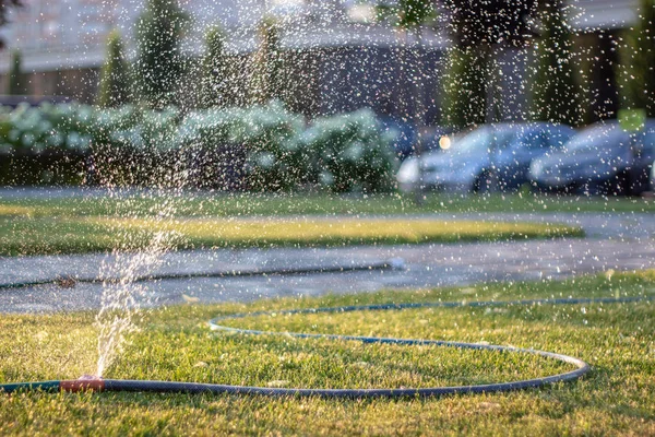 Automatische sprinkler systeem besproeiing van het gazon op een achtergrond van groen gras — Stockfoto