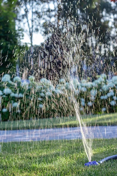 Automatische sprinkler systeem besproeiing van het gazon op een achtergrond van groen gras — Stockfoto