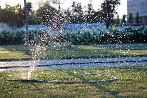 Automatische sprinkler systeem besproeiing van het gazon op een achtergrond van groen gras — Stockfoto