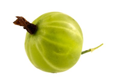 Beyaz arka planda bir taze yeşil bektaşi üzümü