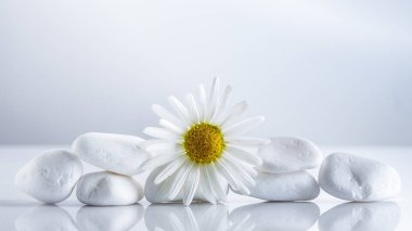 Spa, tatil konsepti veya papatya çayı için beyaz taşlar piramidi üzerinde çiçek papatyalar.