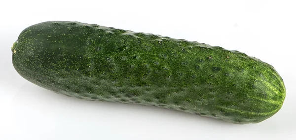 Один зелений огірок на білому тлі — стокове фото
