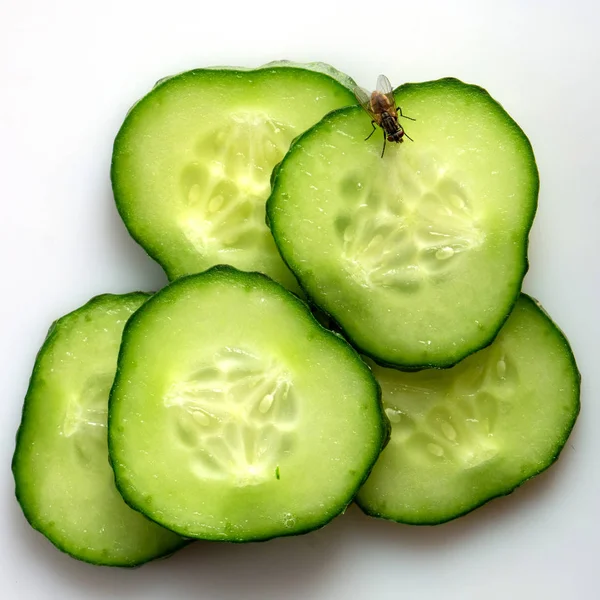 Η μύγα κάθεται σε φρέσκο πράσινο αγγούρι, κομμένο με δαχτυλίδια σε λευκό φόντο — Φωτογραφία Αρχείου