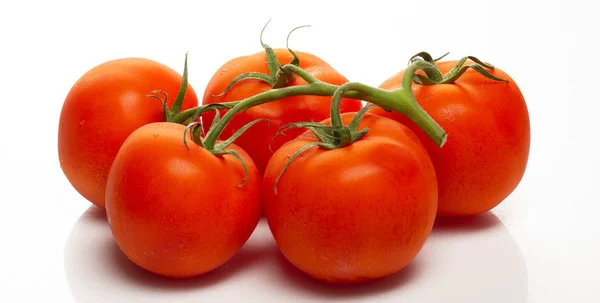 Rama de tomates cherry sobre un fondo blanco — Foto de Stock