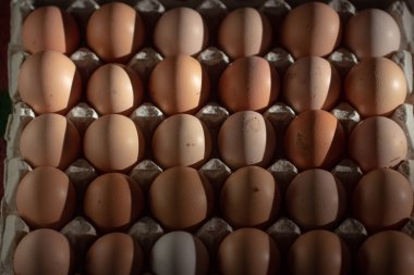 Karton raf veya beyaz masada yumurta kutusunda tavuk yumurta.