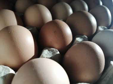 Karton raf veya beyaz masada yumurta kutusunda tavuk yumurta.