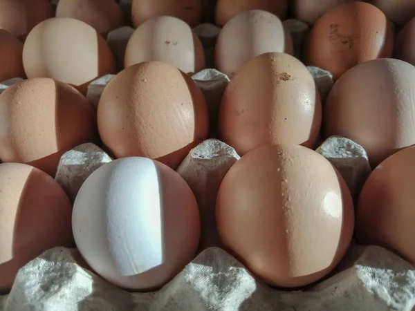 Ovos de galinha em rack de papelão ou caixa de ovo na mesa branca . — Fotografia de Stock