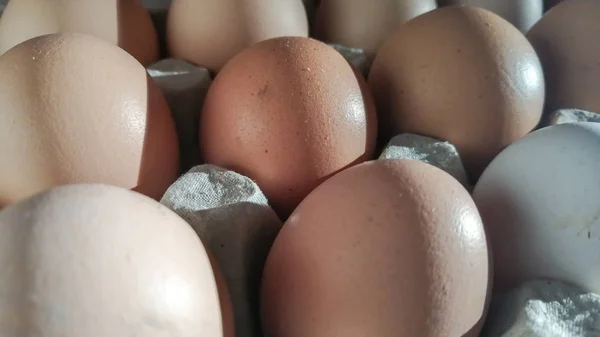 Chicken eggs in cardboard rack or egg box on white table.