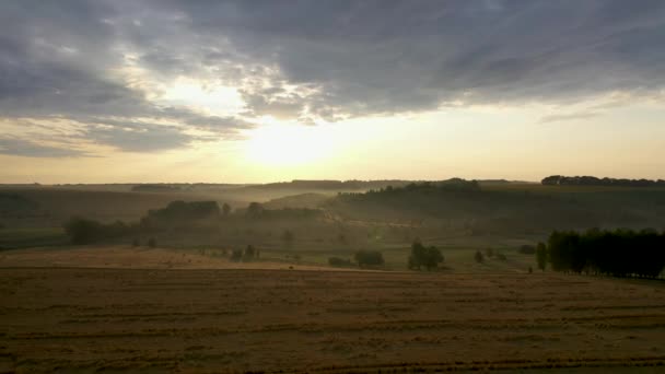 Vista aérea Cultivo de trigo precipitado aguacero. El problema de las malas condiciones climáticas es un problema grave para los agricultores, que amenaza con la pérdida de cultivos. . — Vídeos de Stock