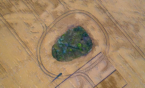 Colheita de trigo destruída por uma tempestade. Manhã paisagem de verão — Fotografia de Stock