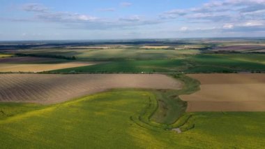 Ayçiçekleri ile tarlaların üzerinde uçan drone havadan görünümü