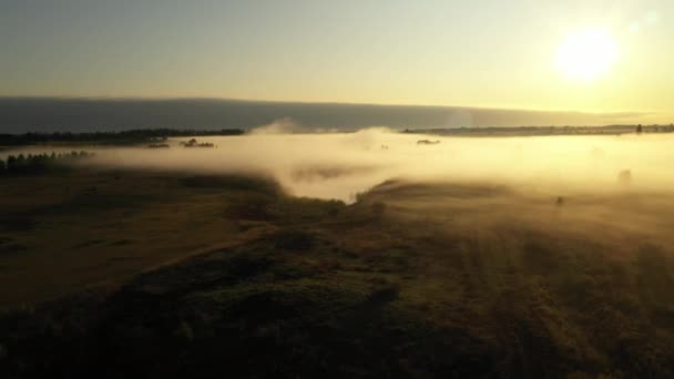 4K Voando sobre o prado de verão da manhã no nevoeiro, bela paisagem de verão, alta qualidade — Vídeo de Stock