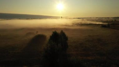 4k Sis, güzel yaz manzara, yüksek kalitede sabah yaz çayır üzerinde Uçan