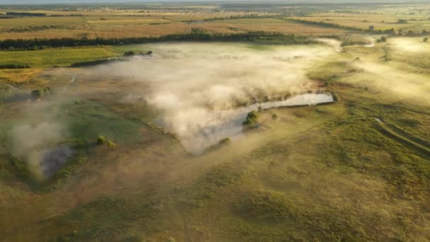 4k vliegen over de ochtend zomer weide in de mist, prachtige zomer landschap, hoge kwaliteit — Stockvideo