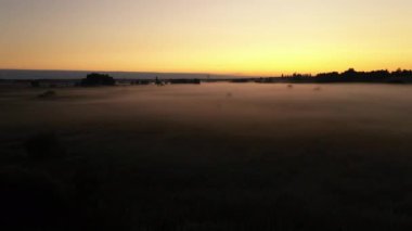 4k Sis, güzel yaz manzara, yüksek kalitede sabah yaz çayır üzerinde Uçan