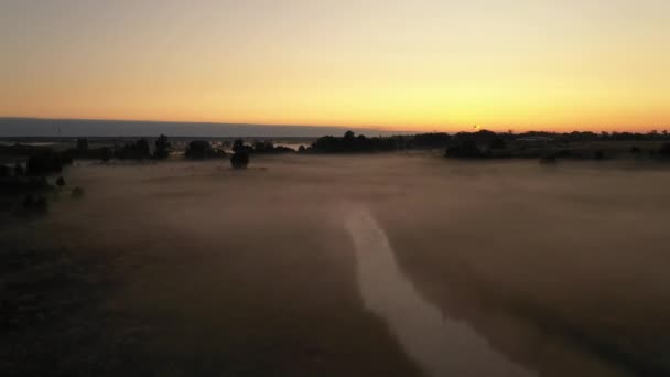 4k 在雾中飞越早晨的夏草甸，美丽的夏季风景，高品质 — 图库视频影像