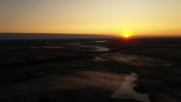 4K Voando sobre o prado de verão da manhã no nevoeiro, bela paisagem de verão, alta qualidade — Vídeo de Stock