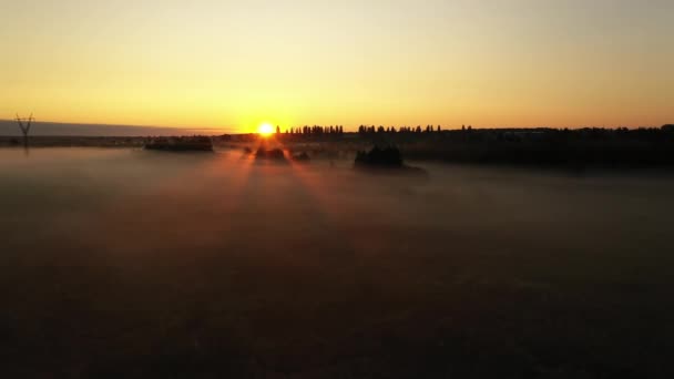 4k Flug über die morgendliche Sommerwiese im Nebel, schöne Sommerlandschaft, hohe Qualität — Stockvideo