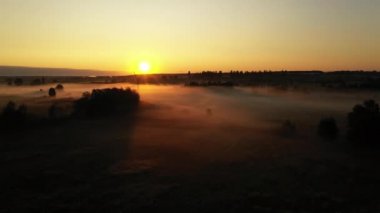 4k Sis, güzel yaz manzara, yüksek kalitede sabah yaz çayır üzerinde Uçan