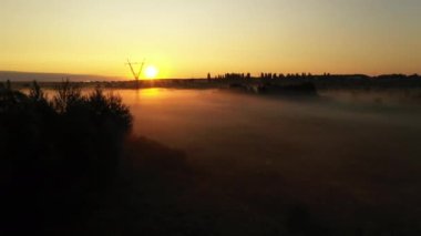 4k Sis, güzel yaz manzara, yüksek kalitede sabah yaz çayır üzerinde Uçan