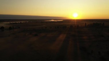 4k Sis, güzel yaz manzara, yüksek kalitede sabah yaz çayır üzerinde Uçan