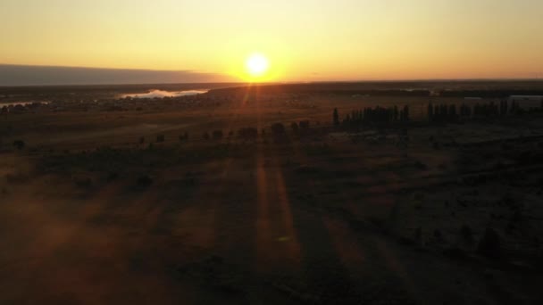 4K flyger över morgon sommarängen i dimman, vackert sommar landskap, hög kvalitet — Stockvideo