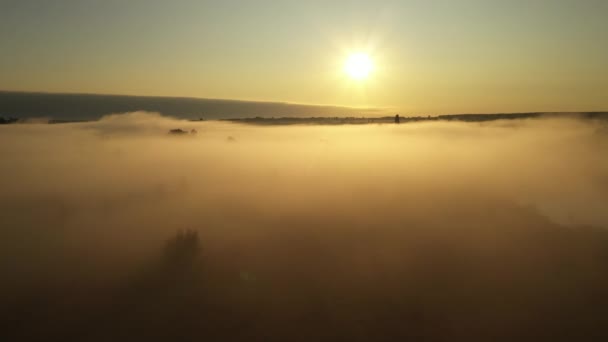 4K Voando sobre o prado de verão da manhã no nevoeiro, bela paisagem de verão, alta qualidade — Vídeo de Stock