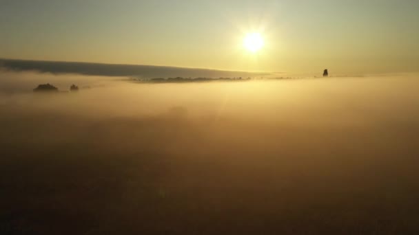 霧の中で朝の夏の草原の上を飛ぶ4k、美しい夏の風景、高品質 — ストック動画