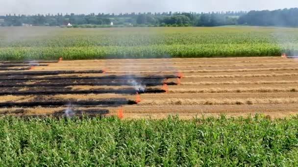 農家は植生残基の斜面を燃焼させ、土壌の肥沃度と環境劣化を低下させる。 — ストック動画