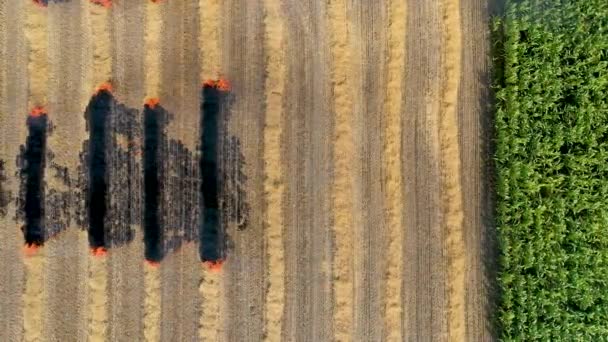 Jordbrukarna bränner sluttningar av växtrester, vilket försämrar markens bördighet och miljöförstöring. — Stockvideo