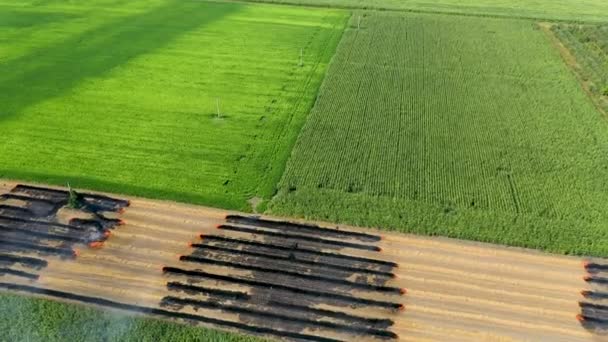 Agricultores queman laderas de residuos vegetales, degradando así la fertilidad del suelo y la degradación ambiental — Vídeo de stock