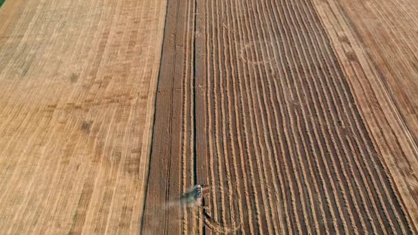 Cosechadora en un campo de trigo cosecha. Vista aérea 4k — Vídeo de stock