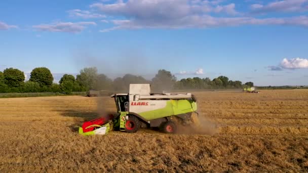 29 de julio de 2019 Ucrania, Bucha: Una cosechadora cosecha trigo en un cálido día de verano. Vista de aves 4k — Vídeo de stock